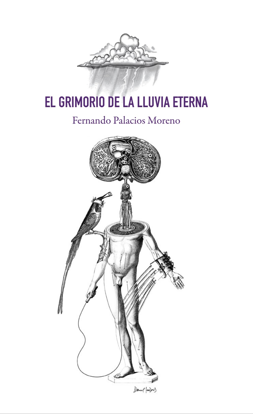 Portada de El Grimorio de la Lluvia Eterna